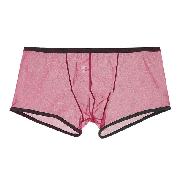 Men's Mesh Low Waist Panties